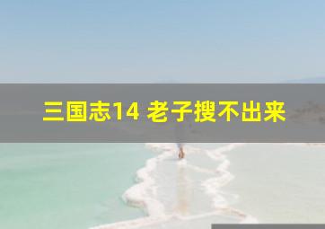 三国志14 老子搜不出来